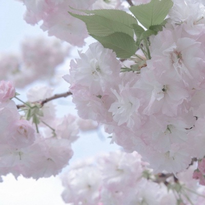 兽设Q版设计教程兽圈社群